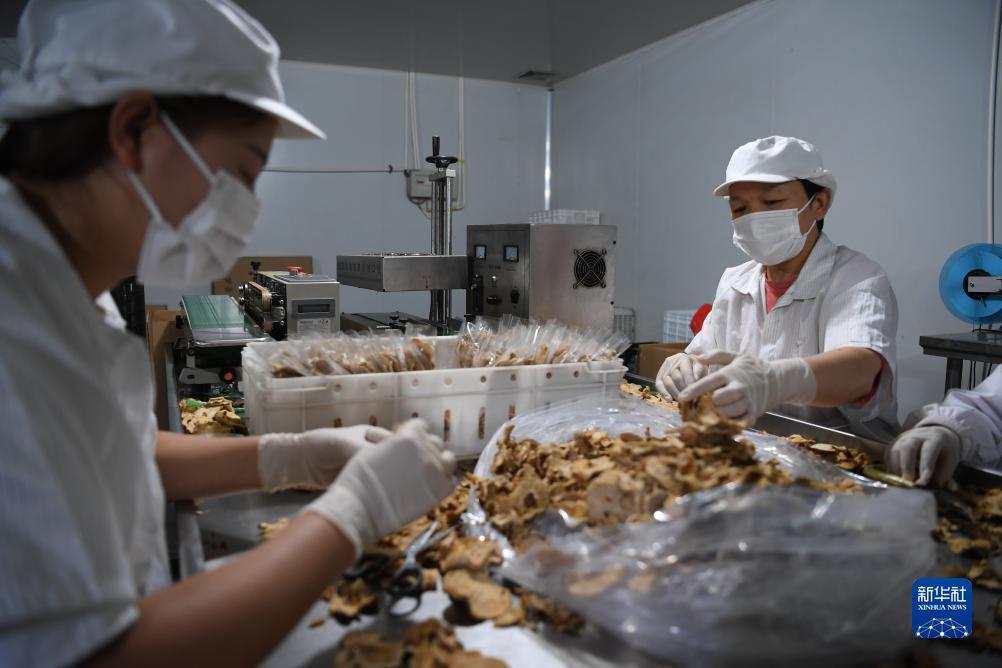大疆官方网站